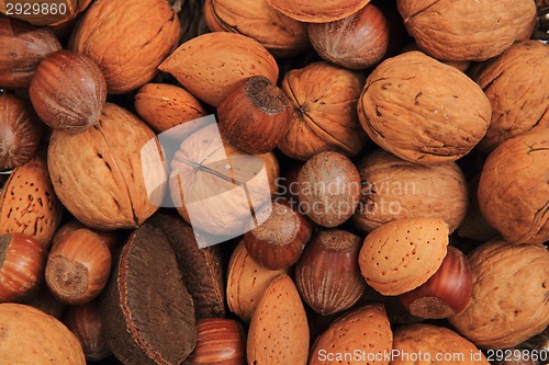 Image of nuts as nice natural background 