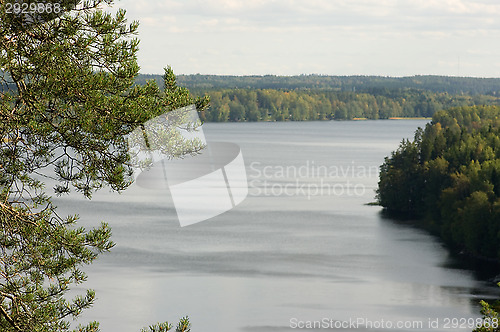 Image of Landscape