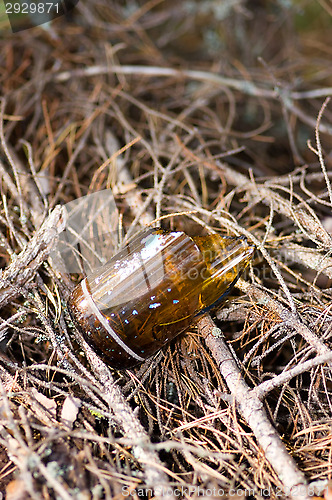 Image of Broken glass bottle