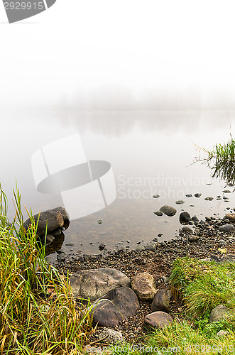 Image of Misty morning