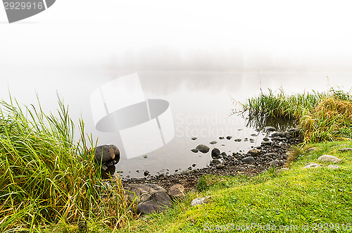 Image of Misty morning