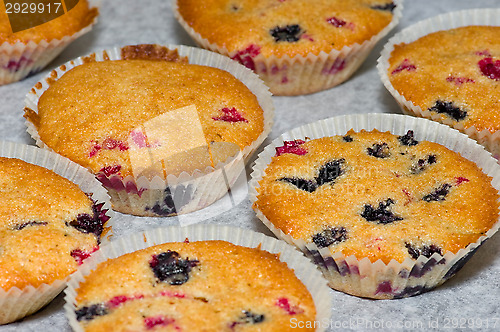 Image of Muffins