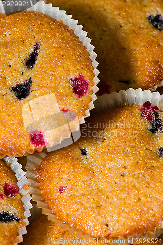 Image of Muffins