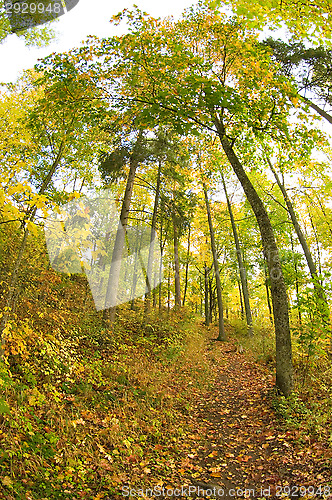 Image of Fall colors