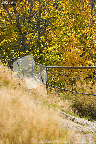 Image of Autumn colors