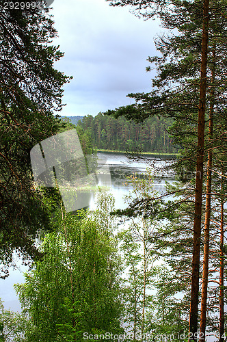 Image of Landscape