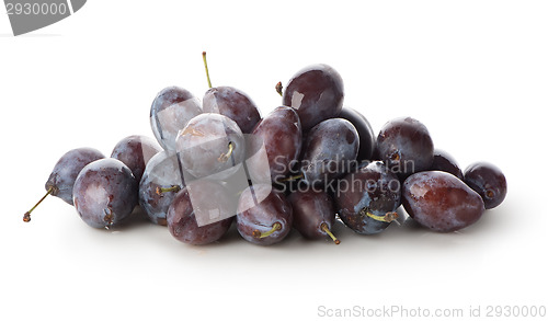 Image of Ripe plums