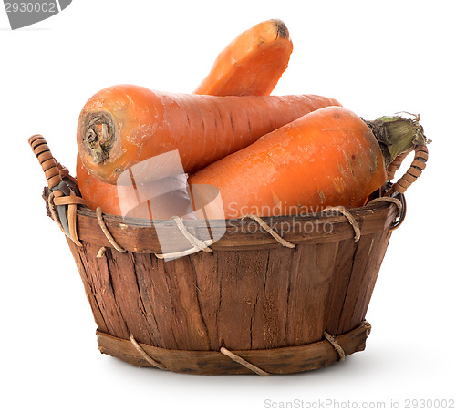 Image of Delicious carrot