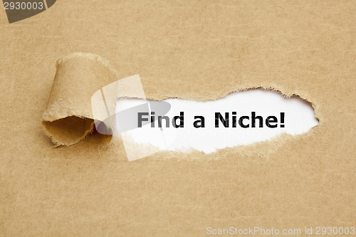 Image of Find a Niche Torn Paper Concept