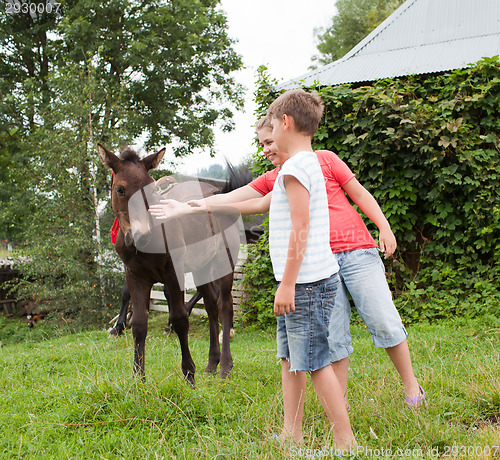 Image of Children stroking horse