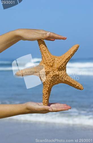 Image of Starfish woman