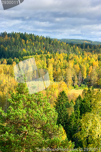 Image of Autumn colors