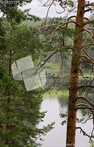 Image of Bridge