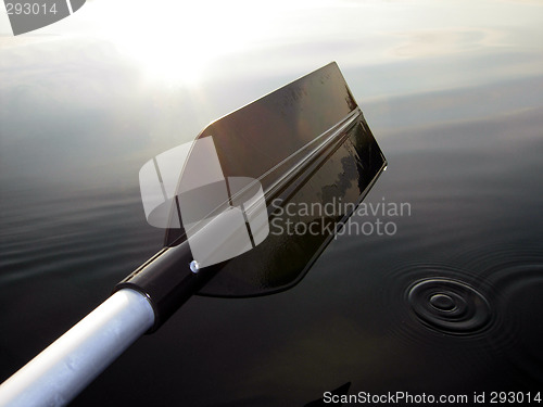 Image of Oar / Rowing