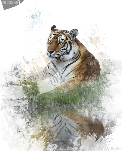 Image of Watercolor Image Of Tiger