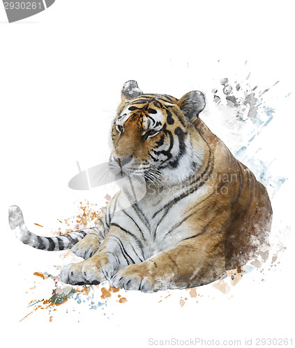 Image of Watercolor Image Of Tiger