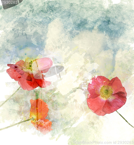 Image of Watercolor Image Of  Poppy Flowers