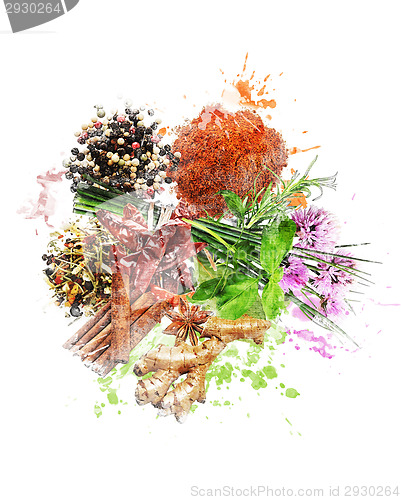 Image of Watercolor Image Of Spices And Herbs