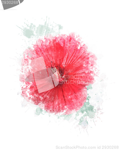 Image of Watercolor Image Of Hibiscus Flower