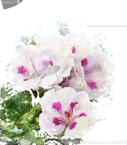 Image of Watercolor Image Of Geranium Flowers