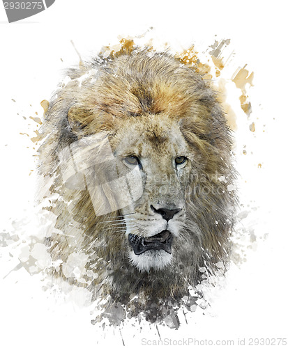 Image of Watercolor Image Of Lion Head