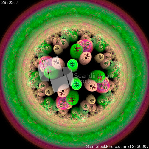 Image of Symmetrical growth of bacteria