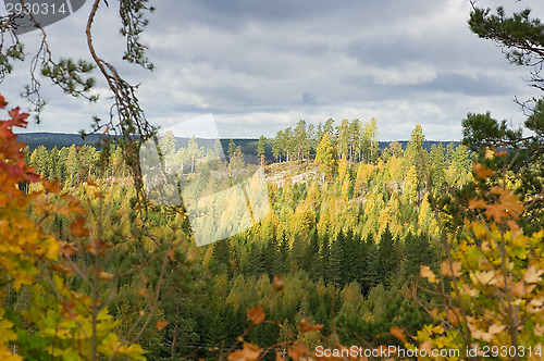Image of Autumn colors