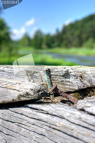 Image of Rusted nail