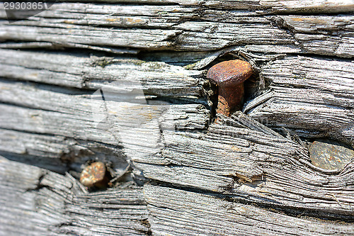 Image of Rusted nail