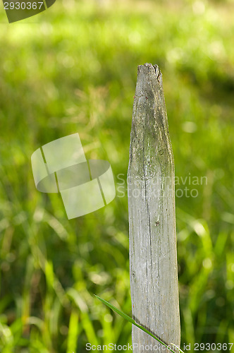 Image of Pole