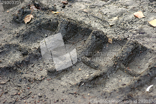 Image of Truck tracks