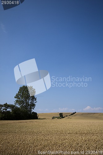 Image of fields