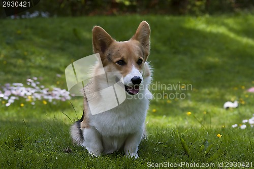Image of warm