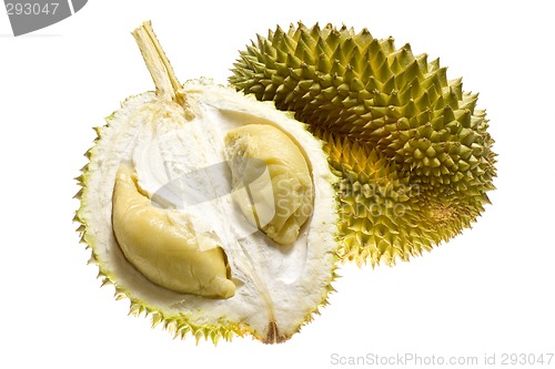 Image of Tropical fruit - Durian

