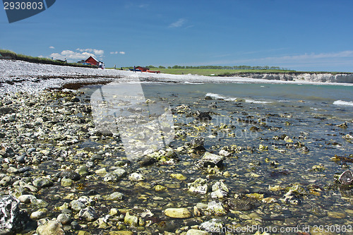 Image of Sangstrup Klint in Denmark