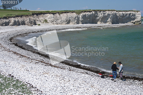 Image of Sangstrup Klint in Denmark