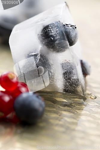 Image of Fresh berry fruits frozen in ice cubes