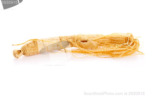 Image of Ginseng Roots