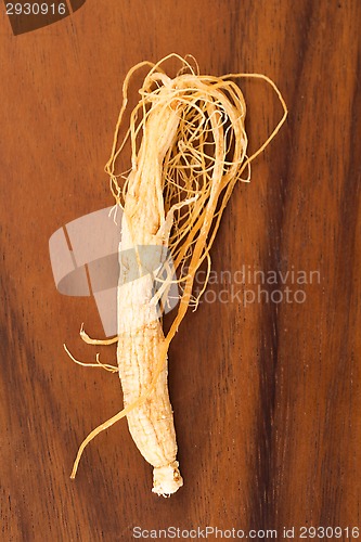 Image of Ginseng Roots