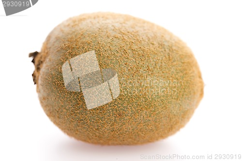 Image of Kiwi fruit isolated on white background