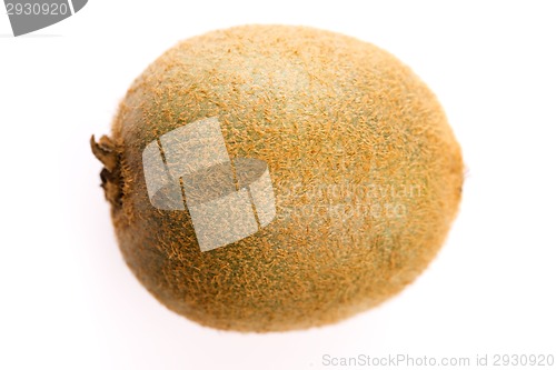 Image of Kiwi fruit isolated on white background