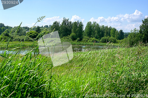 Image of Landscape
