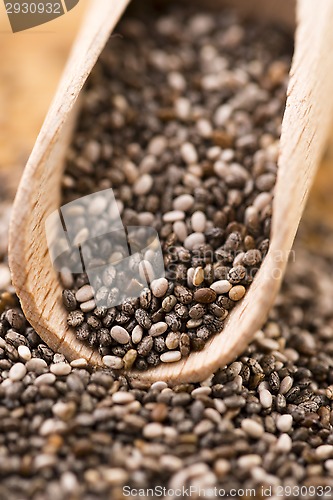 Image of Nutritious chia seeds on a wooden spoon