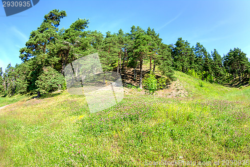 Image of Hill