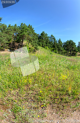 Image of Hill
