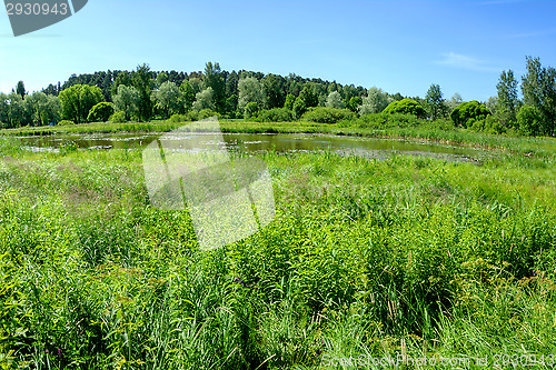 Image of Lake