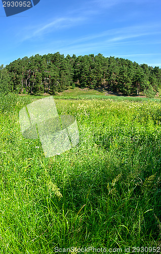 Image of Landscape