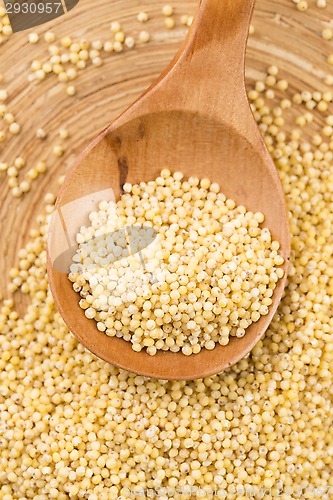 Image of millet groats 