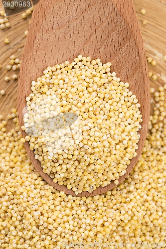 Image of millet groats 