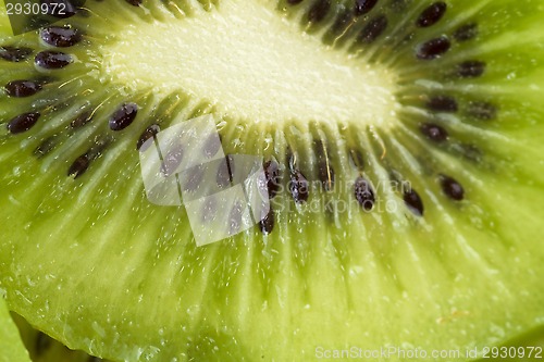 Image of Kiwi slices for background